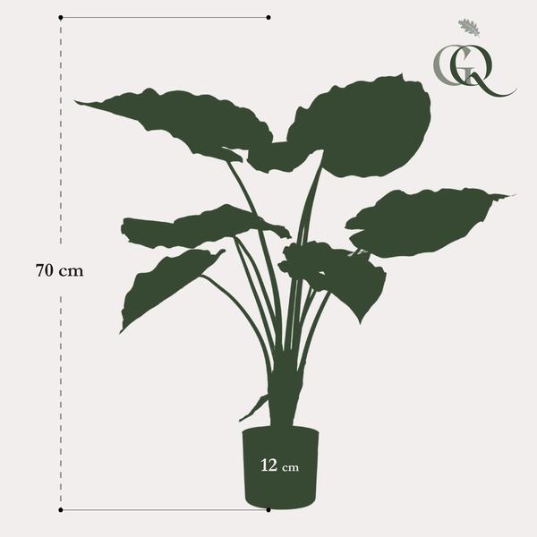 Alocasia - Olifantsoor - Kunstplant - ↨70cm