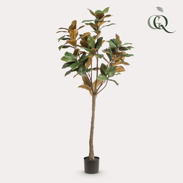 Magnolia Grandiflora - Magnoliaboom - Kunstplant - ↨150 cm