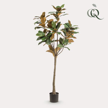 Magnolia Grandiflora - Magnoliaboom - Kunstplant - ↨150 cm