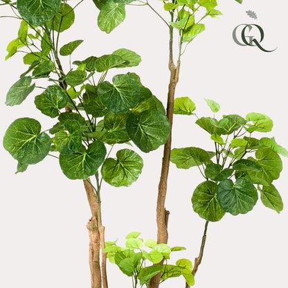 Polyscias - Aralia - Kunstplant - ↨140cm