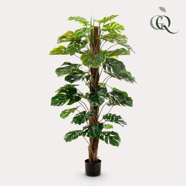 Monstera Deliciosa - kunstplant - ↨150cm
