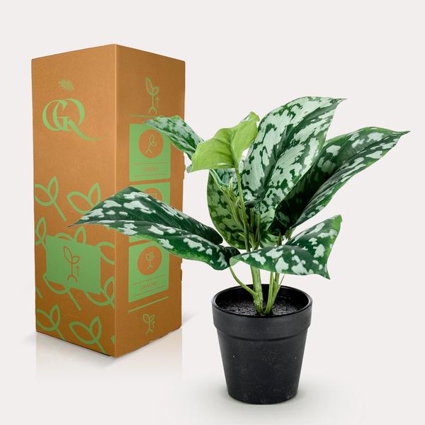 Scindapsus Pictus - Geluksplant - Kunstplant - ↨30cm