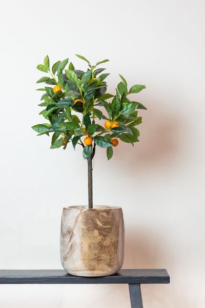 Citrus Sinensis - Sinaasappelboom - Kunstplant - ↨75cm