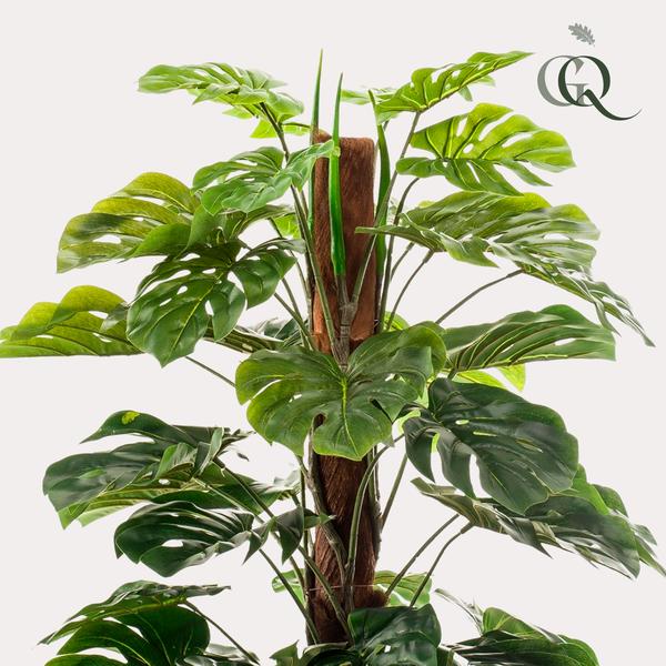 Monstera Deliciosa - kunstplant - ↨150cm