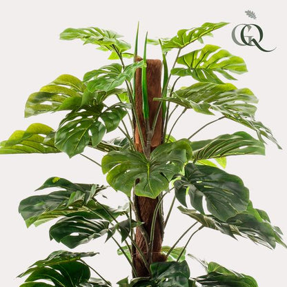 Monstera Deliciosa - kunstplant - ↨150cm