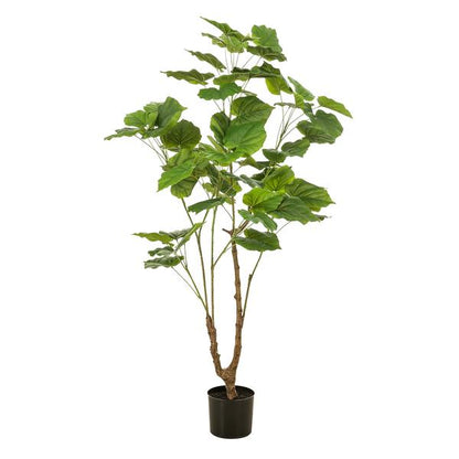 Ficus umbellate - Afrikaanse vijg - Kunstplant - ↨125cm