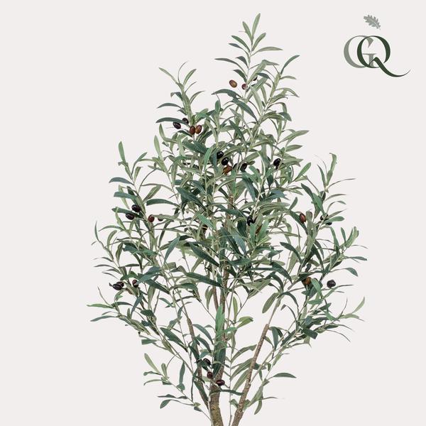 Olijfboom -  Olea europaea - Kunstplant - ↨140cm