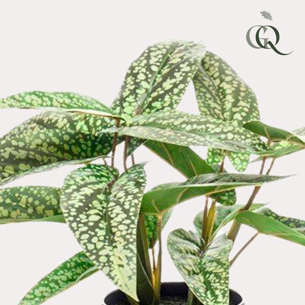 Calathea Dots - Schaduwplant - Kunstplant - ↨38cm