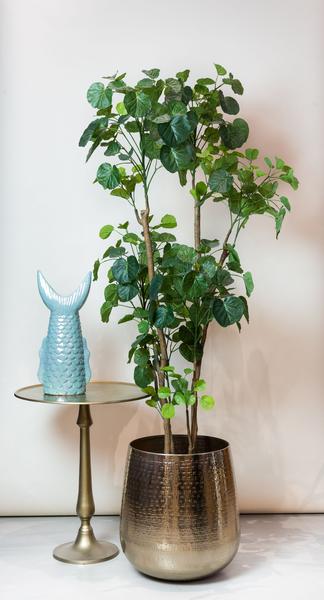 Polyscias - Aralia - Kunstplant - ↨160cm