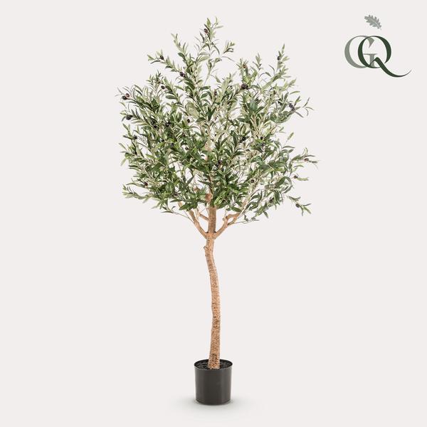 Olijfboom -  Olea europaea - Kunstplant - ↨180cm
