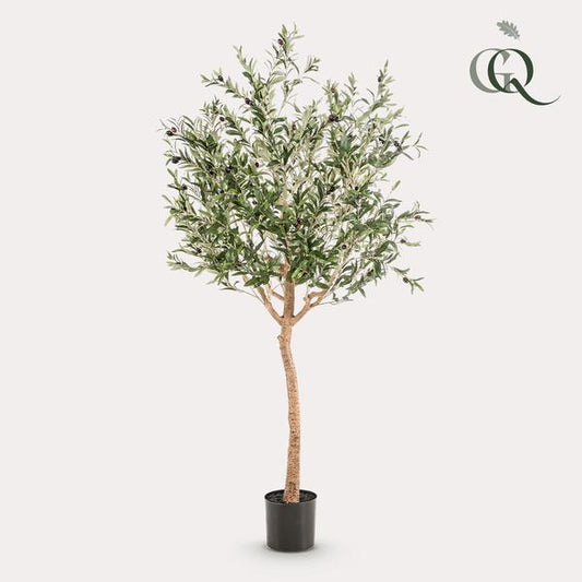 Olijfboom -  Olea europaea - Kunstplant - ↨180cm
