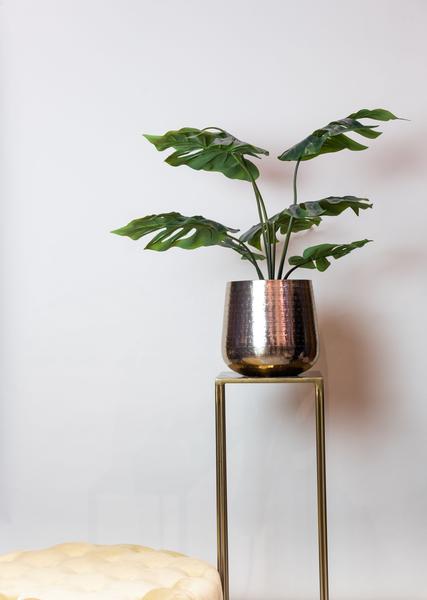 Monstera Deliciosa - kunstplant - ↨65cm
