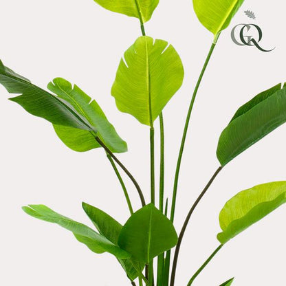 Strelitzia Nicolai - Paradijsvogelbloem - Kunstplant - ↨150 cm