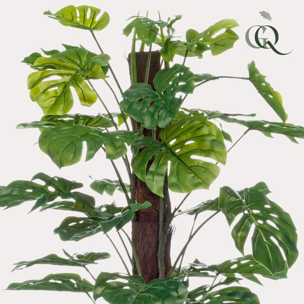 Monstera Deliciosa - kunstplant - ↨120cm