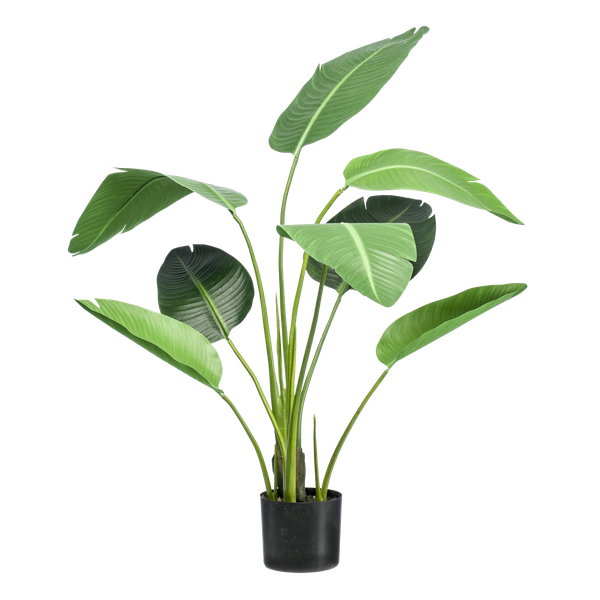 Strelitzia nicolai - Paradijsvogelbloem - Kunstplant - ↨120cm