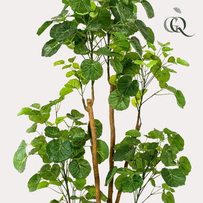 Polyscias - Aralia - Kunstplant - ↨160cm