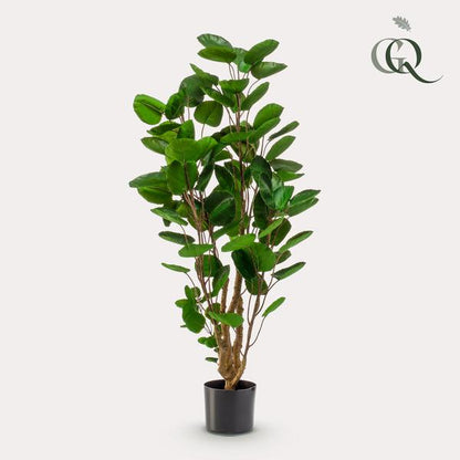 Polyscias - Aralia - Kunstplant - ↨105cm