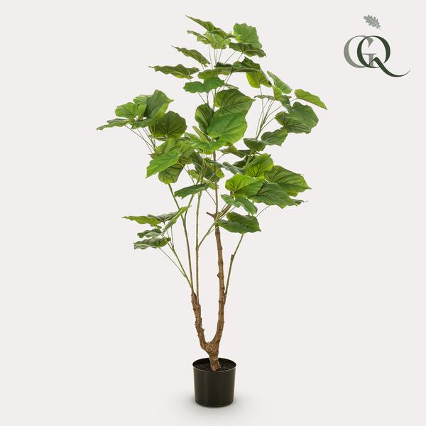 Ficus umbellate - Afrikaanse vijg - Kunstplant - ↨125cm