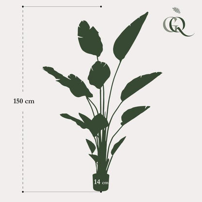 Strelitzia Nicolai - Paradijsvogelbloem - Kunstplant - ↨150 cm