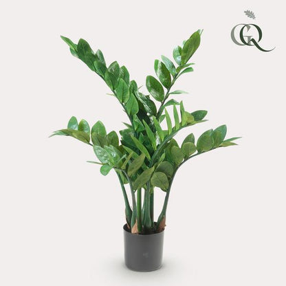 Zamioculcas - Kamerpalm - Kunstplant - ↨70cm