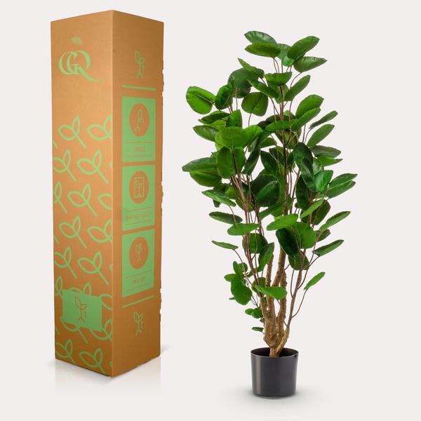 Polyscias - Aralia - Kunstplant - ↨105cm