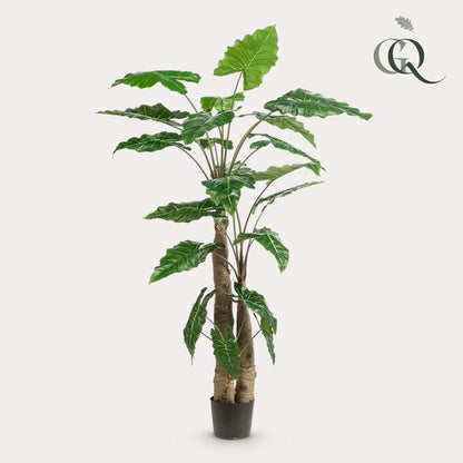 Alocasia - Olifantsoor - Kunstplant - ↨180cm