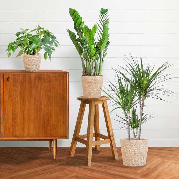 Schaduw Plantenbox - 3 stuks - met mand Sofia - ↨25 a 95cm - Ø12 a 21cm