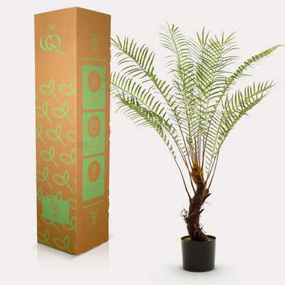 Boomvaren - Kunstplant - ↨125cm