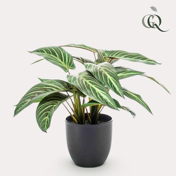 Calathea Zebrina - Schaduwplant - Kunstplant - ↨38 cm
