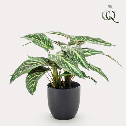 Calathea Zebrina - Schaduwplant - Kunstplant - ↨38 cm