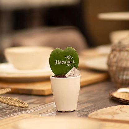 Hoya (hartjeslant) | I love you