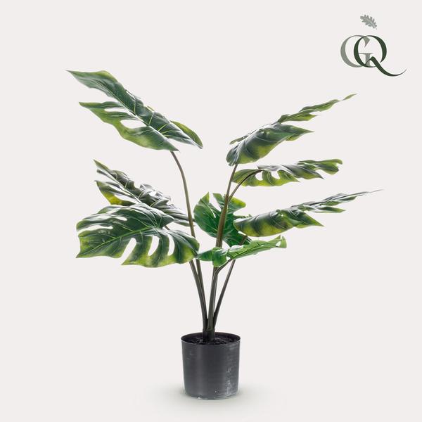 Monstera Deliciosa - kunstplant - ↨65cm