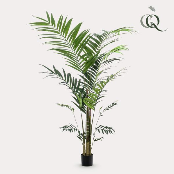 Kentia - Kentiapalm - Kunstplant - ↨210cm