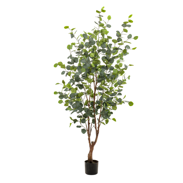 Eucalyptus - Blauwe Gomboom  - Kunstplant - ↨140cm