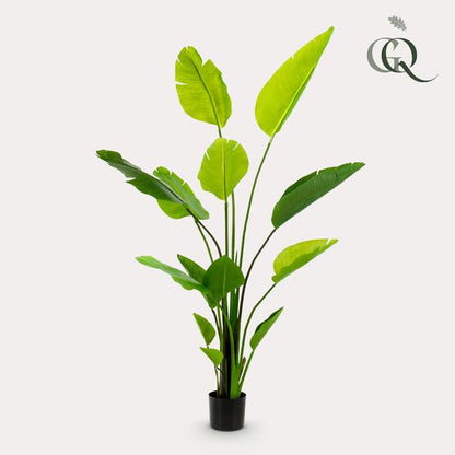 Strelitzia Nicolai - Paradijsvogelbloem - Kunstplant - ↨150 cm