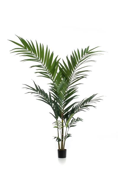 Kentia - Kentiapalm - Kunstplant - ↨150cm