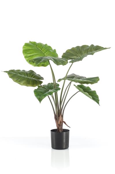 Alocasia - Olifantsoor - Kunstplant - ↨70cm