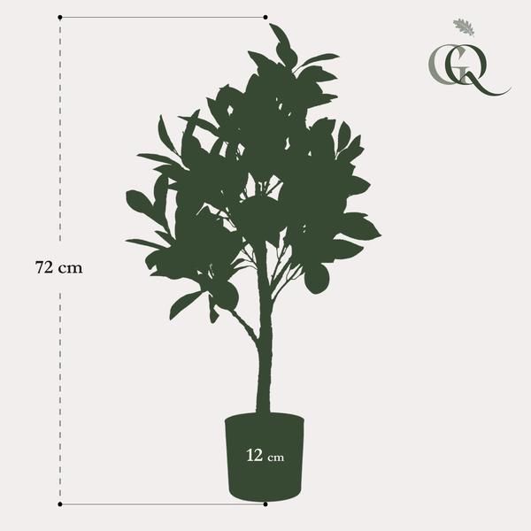 Citrus Limonia - Citroenboom - Kunstplant - ↨75 cm