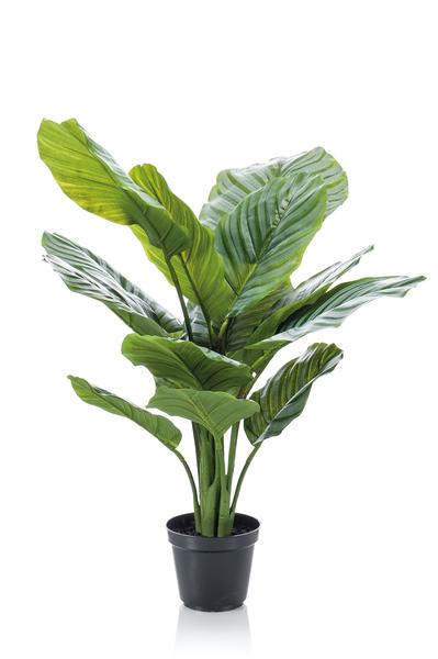 Calathea Orbifolia - Schaduwplant - Kunstplant - ↨60cm