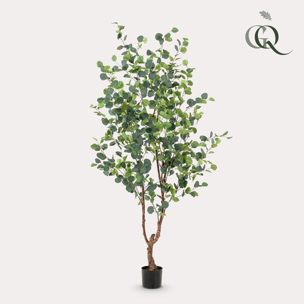Eucalyptus - Blauwe Gomboom  - Kunstplant - ↨180cm