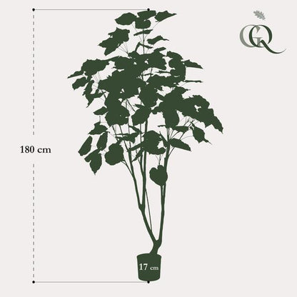 Ficus umbellate - Afrikaanse vijg - Kunstplant - ↨180cm