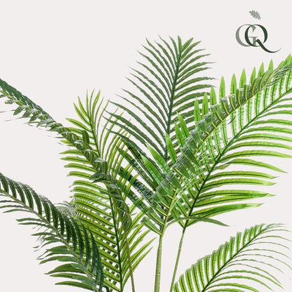 Howea Forsteriana  - Paradijspalm - Kunstplant - ↨160 cm