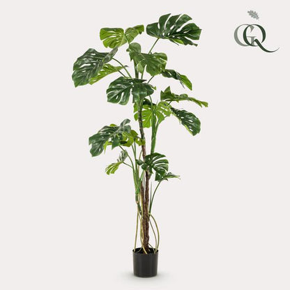 Monstera - Gatenplant - Kunstplant - ↨180cm