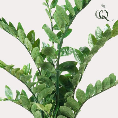 Zamioculcas - Kamerpalm - Kunstplant - ↨110cm