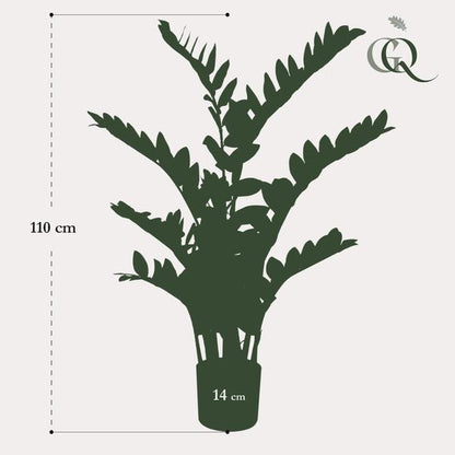 Zamioculcas - Kamerpalm - Kunstplant - ↨110cm