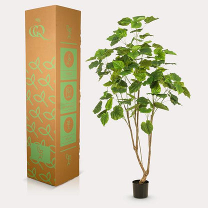 Ficus umbellate - Afrikaanse vijg - Kunstplant - ↨180cm