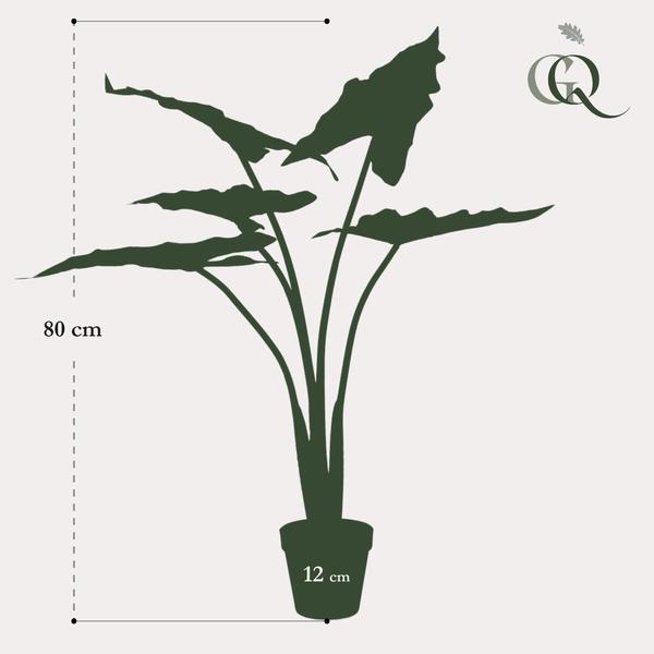 Alocasia Frydek - Olifantsoor - Kunstplant - ↨80cm