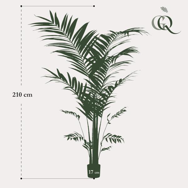 Kentia - Kentiapalm - Kunstplant - ↨210cm
