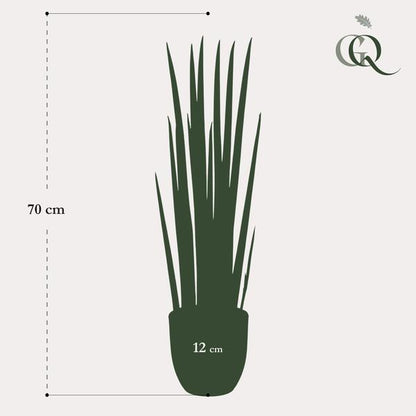 Sanseveria Cylindrica - Vrouwentong - Kunstplant - ↨70 cm
