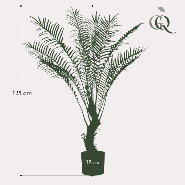 Boomvaren - Kunstplant - ↨125cm